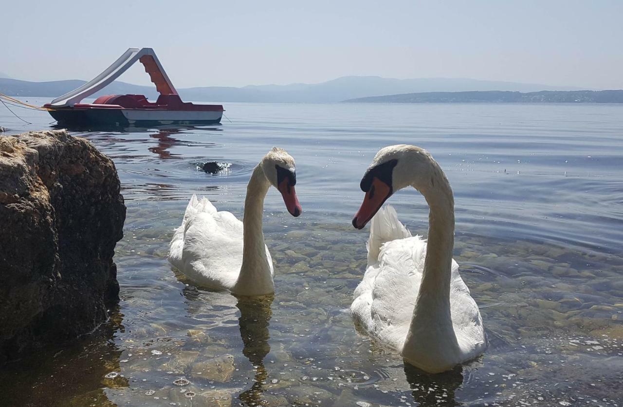 Posedarje Zadar Apartman Kültér fotó